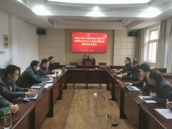 平顶山轨枕公司召开主题教育调研成果交流会