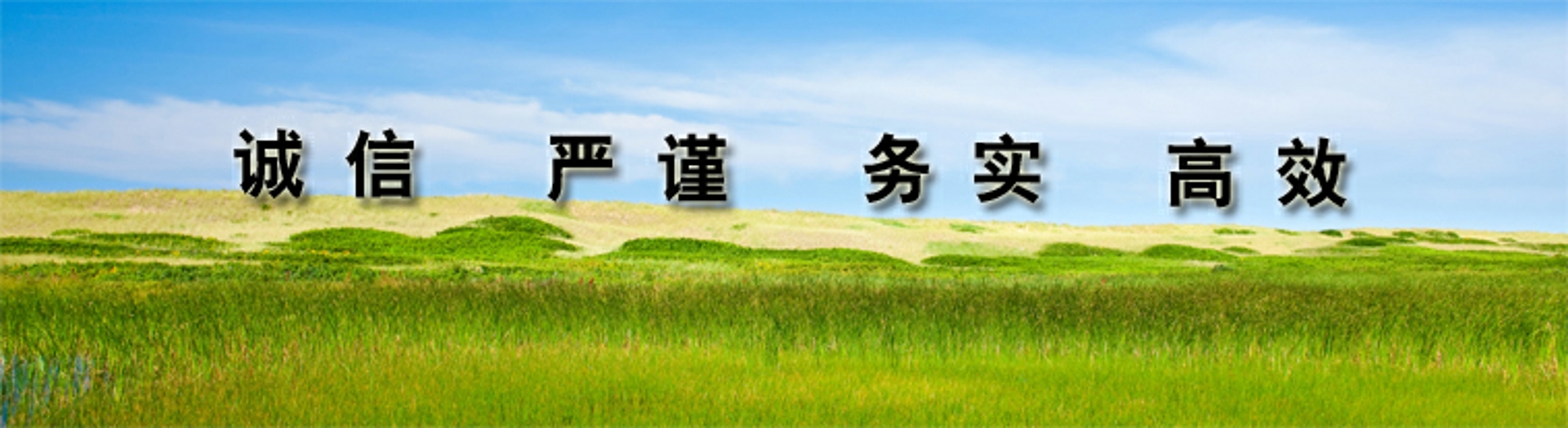 banner2