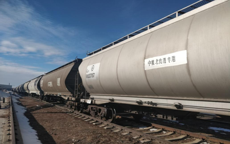 镇赉粮食物流公司粮食物流业务红火进行中